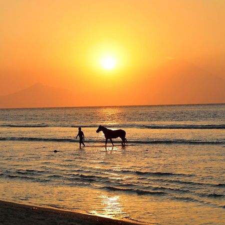 Villa Sunset Beach غيلي تراوانغان المظهر الخارجي الصورة
