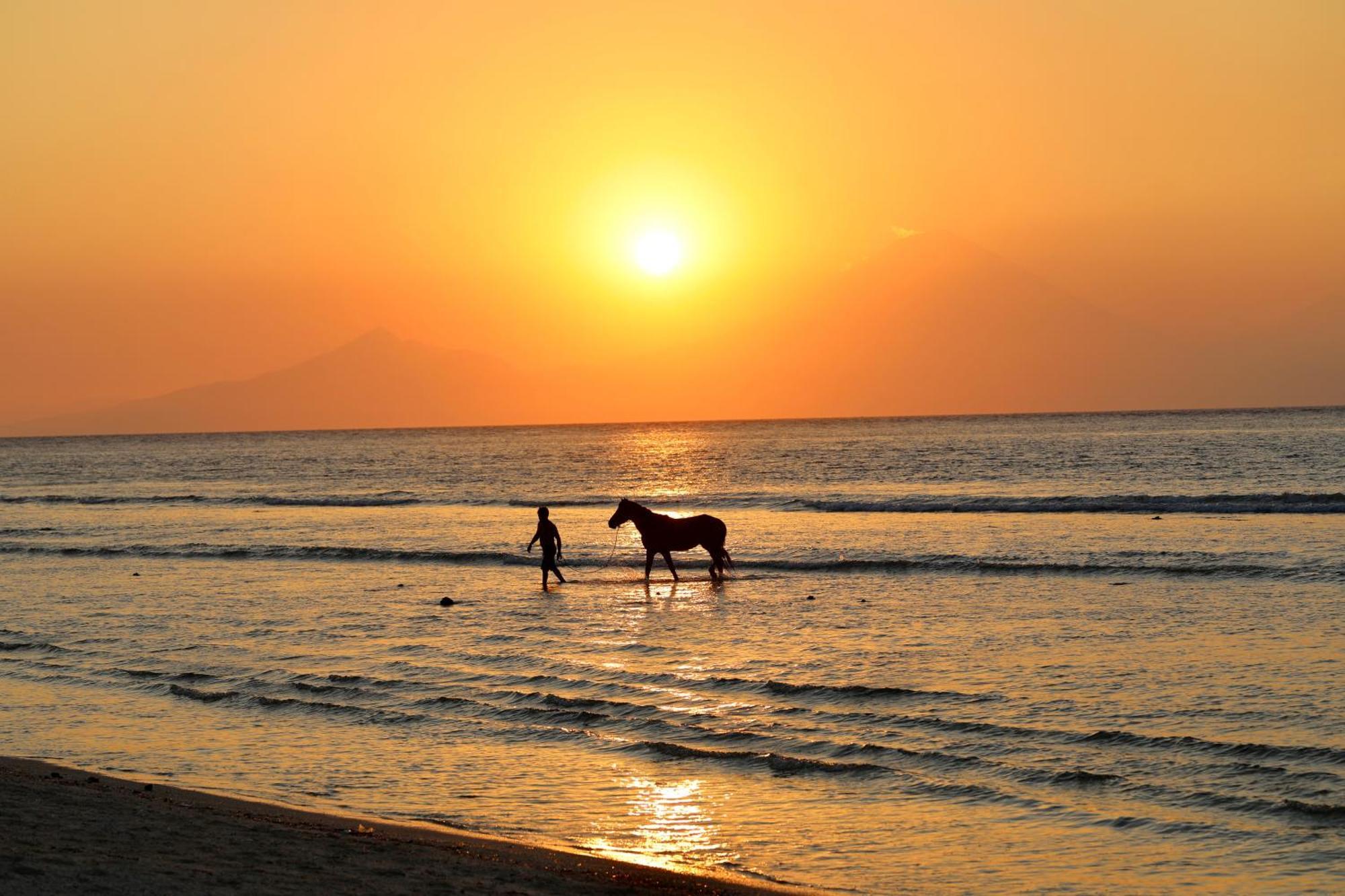 Villa Sunset Beach غيلي تراوانغان المظهر الخارجي الصورة